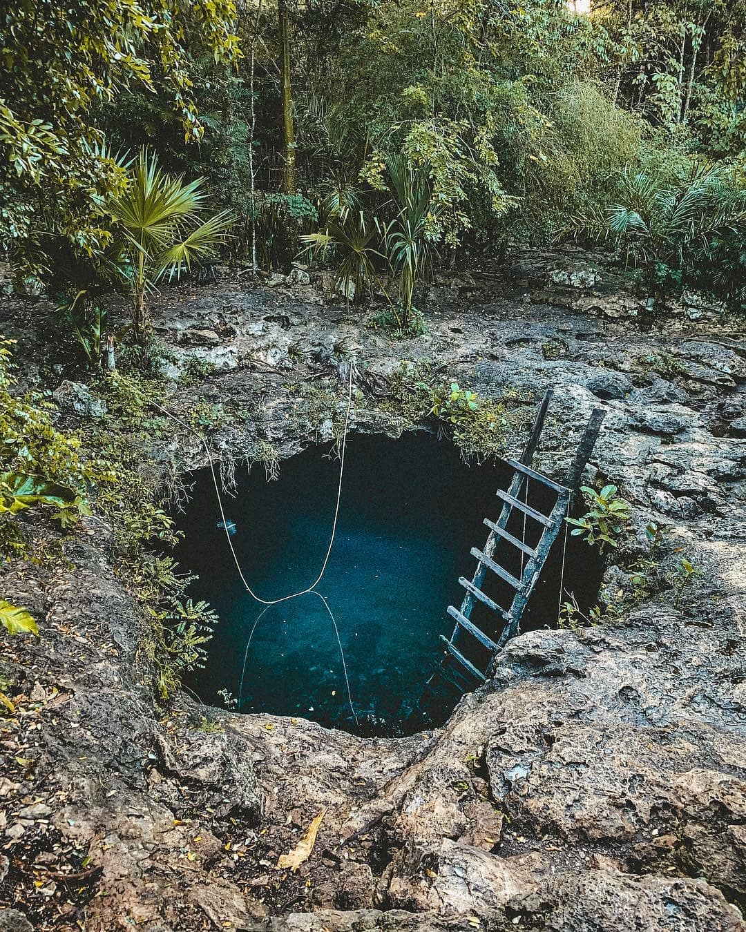 Cenote near Tulum Mexico
