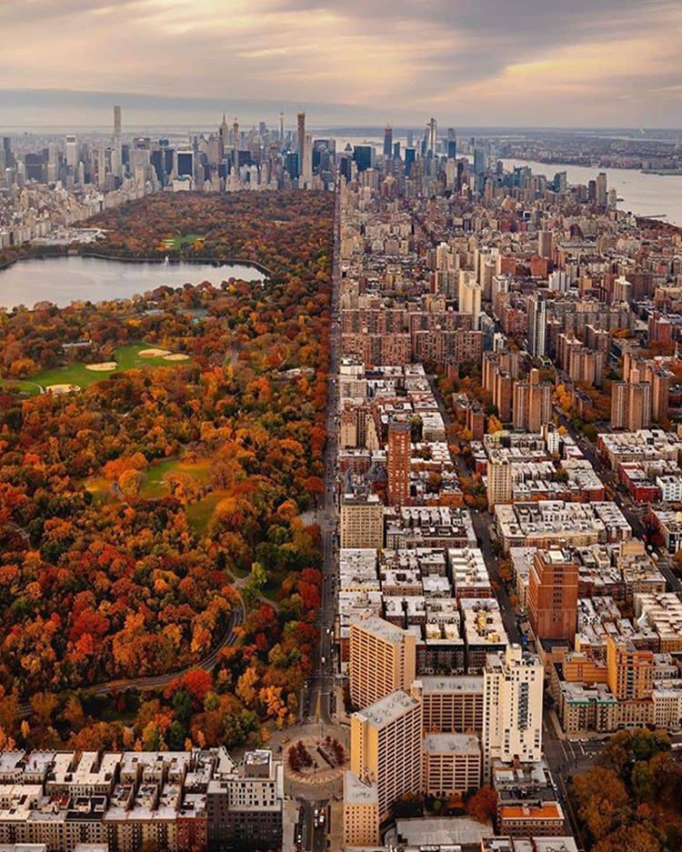 Central Park New York