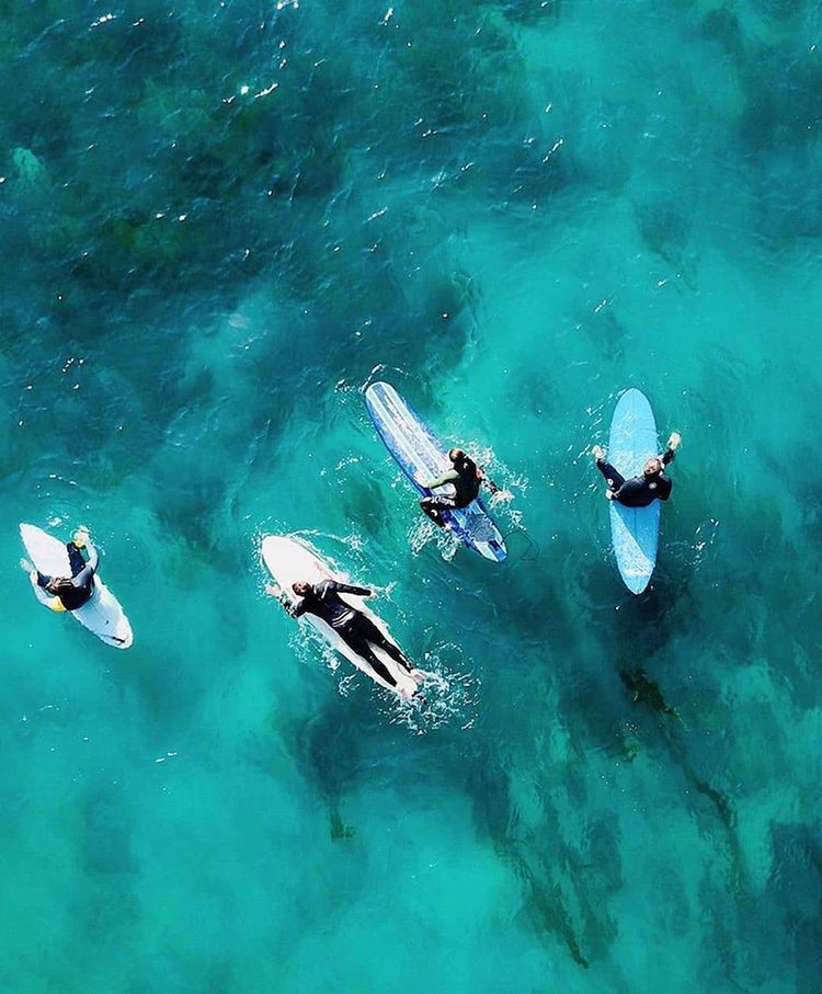 Surfing Encinitas