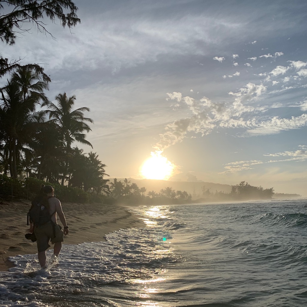 The Beaches of Oahu